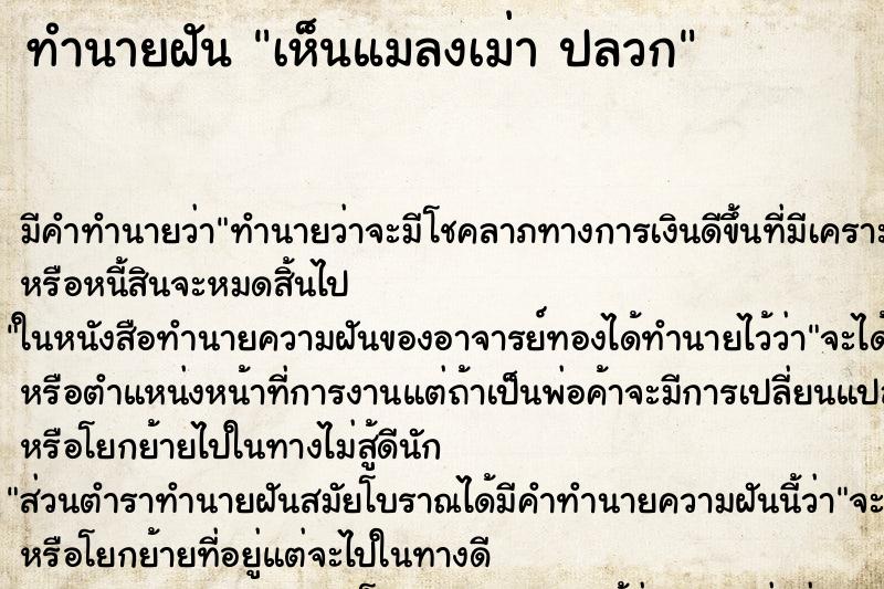ทำนายฝัน เห็นแมลงเม่า ปลวก ทำนายฝัน เห็นแมลงเม่า ปลวก